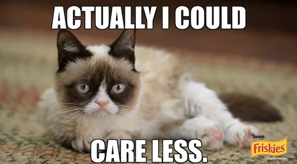 Grumpy cat мем Care less