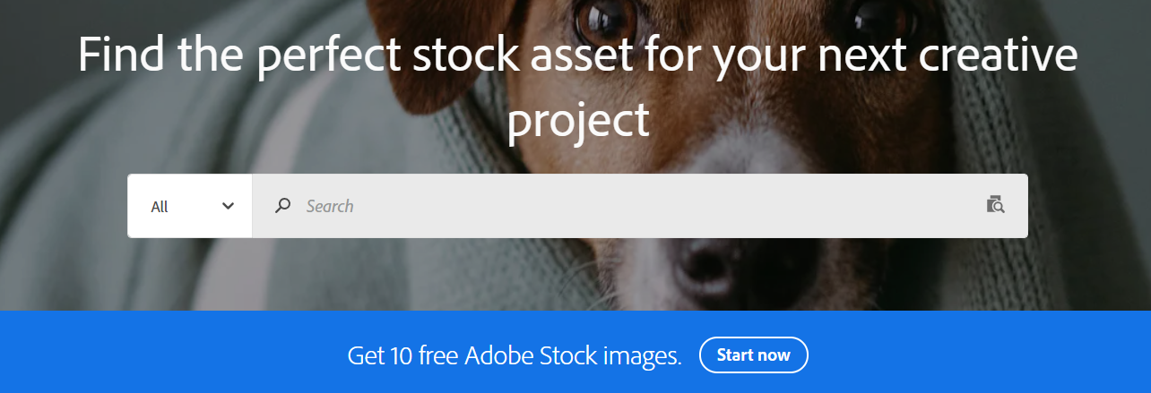 Качественные изображения на Adobe Stock